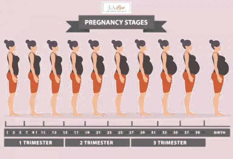 First Trimester (Weeks 1–12): Early Changes You Might Not Notice West Sussex